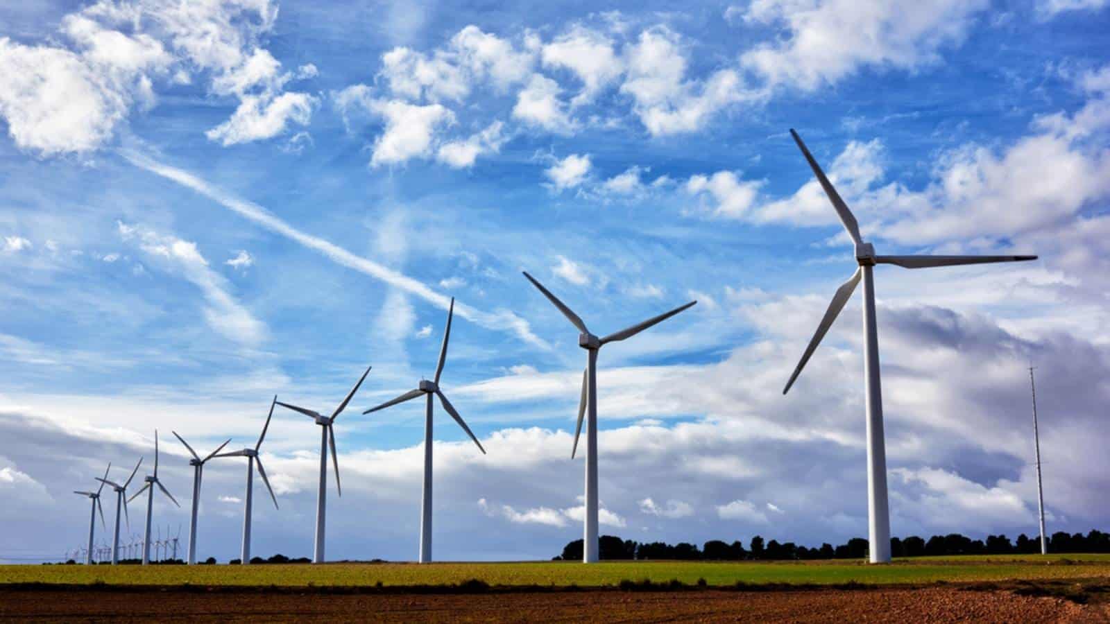 Studie: Rekordertrag aus Solar- und Windenergie